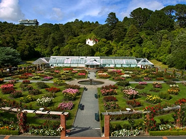 Wellington Botanic Gardens